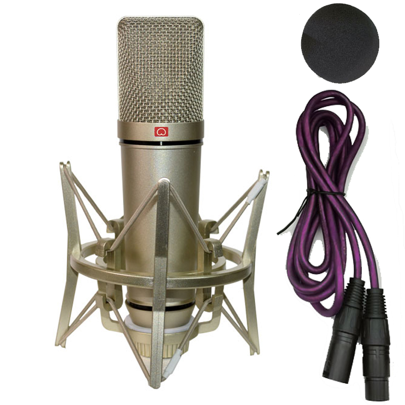 Professionelle Kondensator Mik – Shure Mic Sm58 Bewertung und Preis